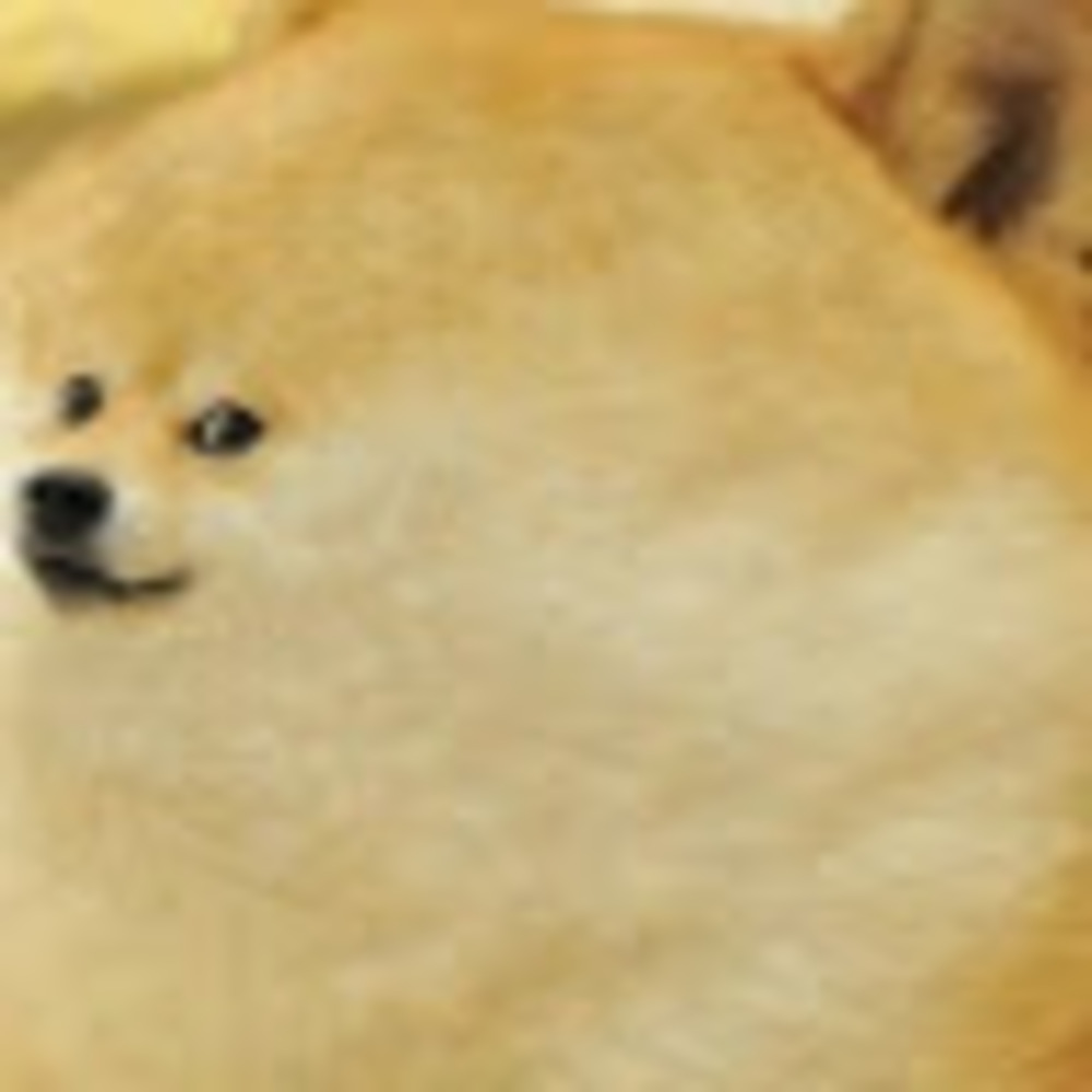 Meet your Posher, Kil